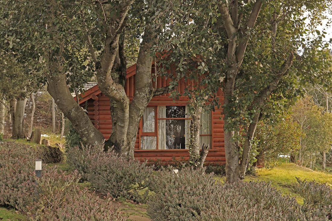 Monasterio Hotel Boutique Σαν Κάρλος ντε Μπαριλότσε Εξωτερικό φωτογραφία